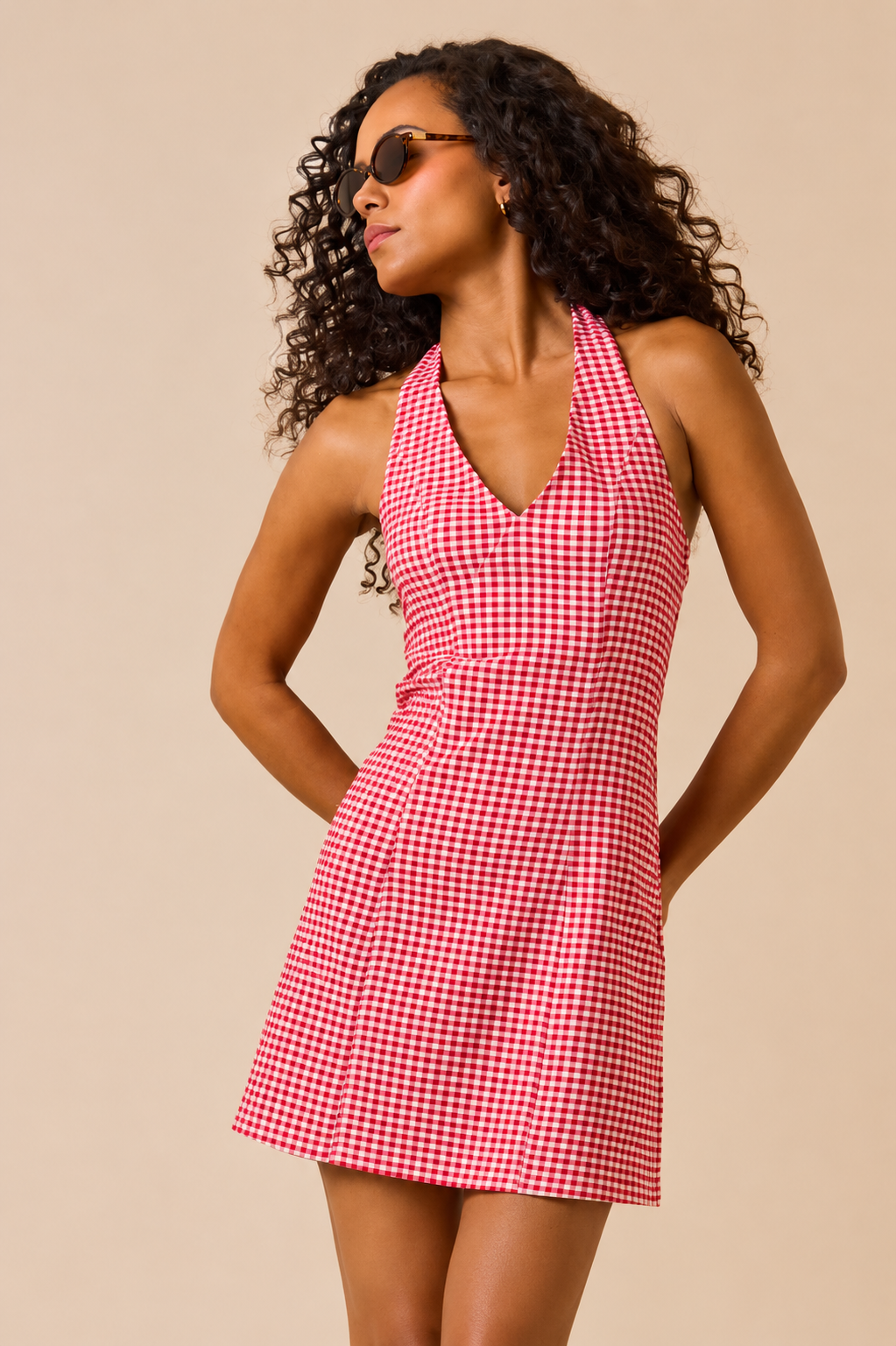 Maura Gingham Mini Dress